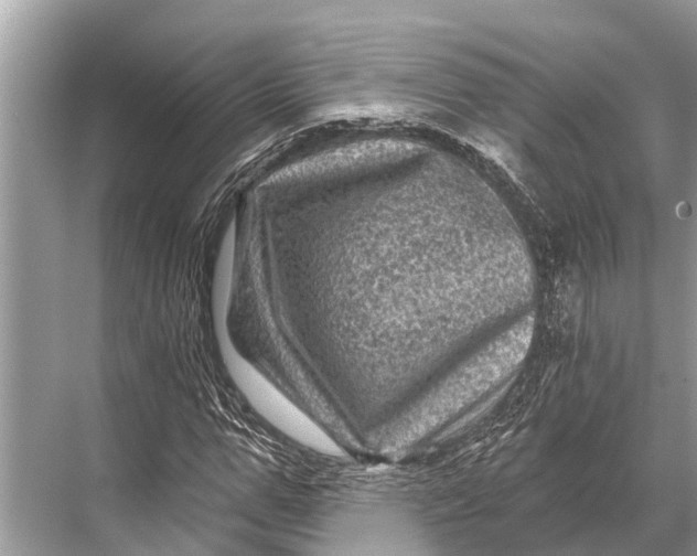 X0000067860967200605041737