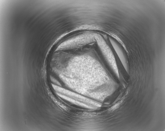 X0000067860981200605041737