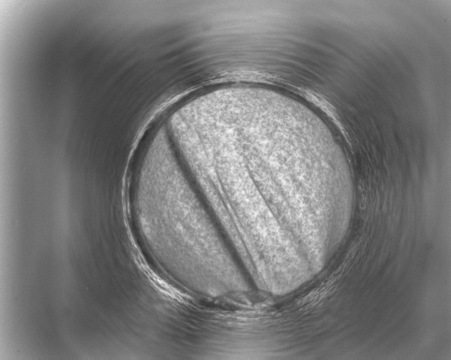 X0000067860987200605041737