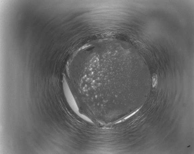 X0000067861011200605041735