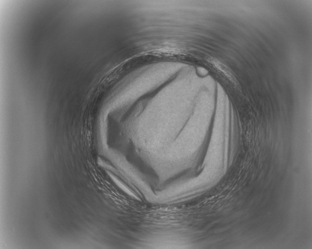 X0000067861015200605041736