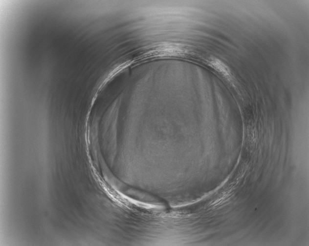 X0000067861034200605041736