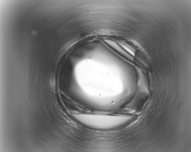 X0000067861065200605041735