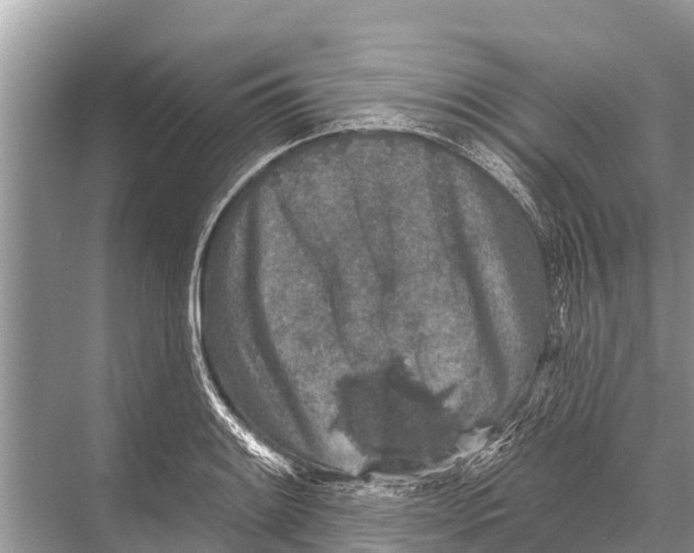 X0000067861084200605041735