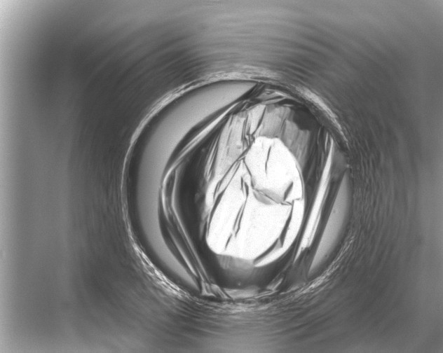 X0000067861122200605041734