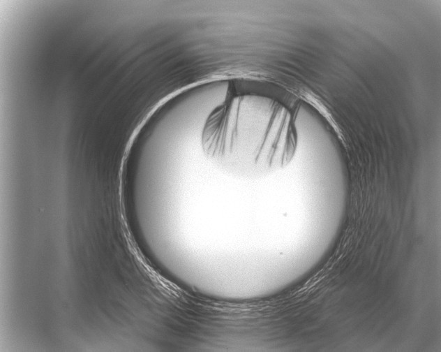 X0000067861124200605041734