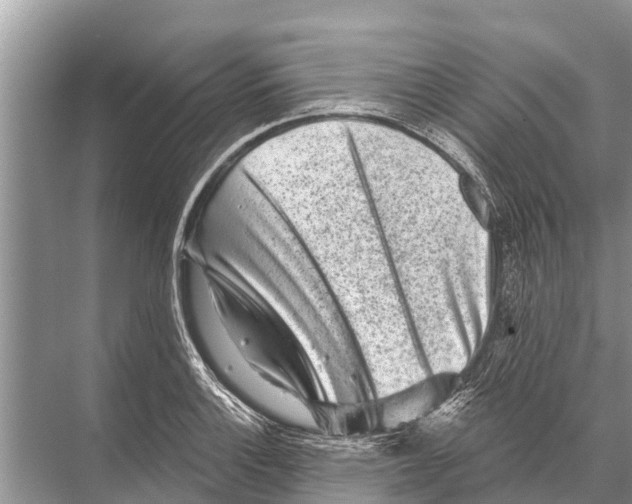 X0000067861132200605041734