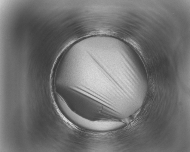 X0000067861135200605041734