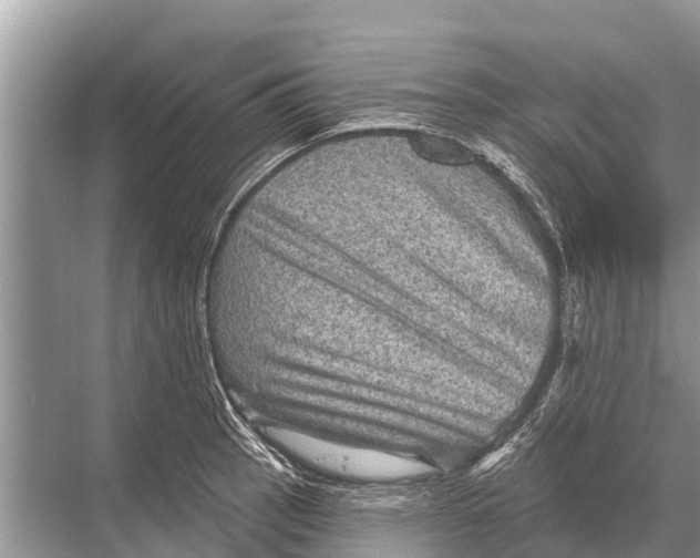 X0000067861137200605041734