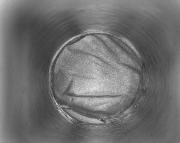 X0000067861148200605041735
