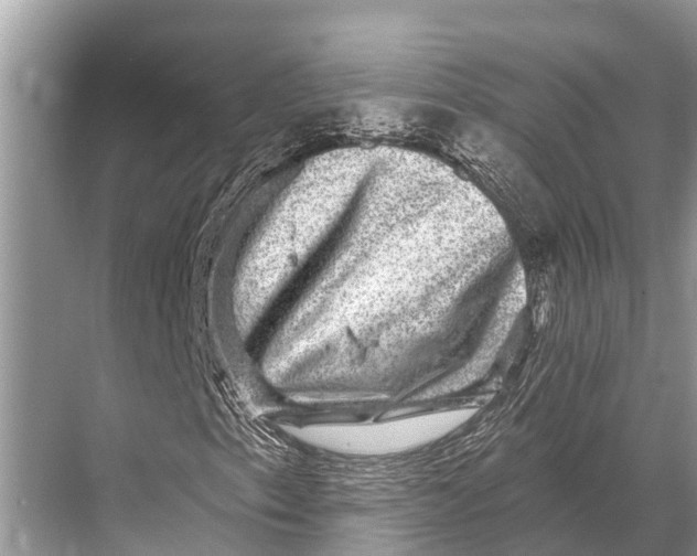 X0000067861153200605041734