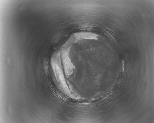 X0000067861154200605041734