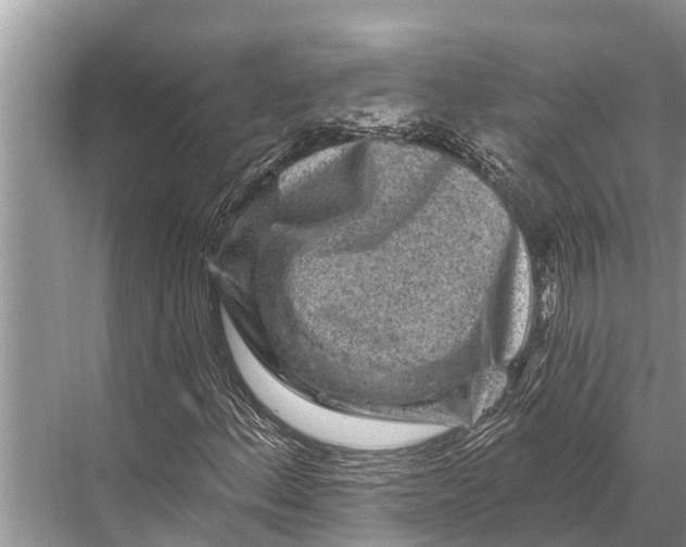 X0000067861156200605041734