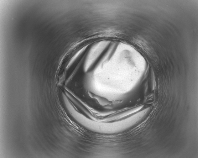 X0000067861164200605041734