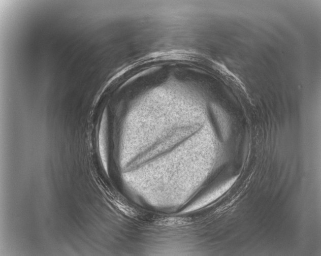 X0000067861166200605041734