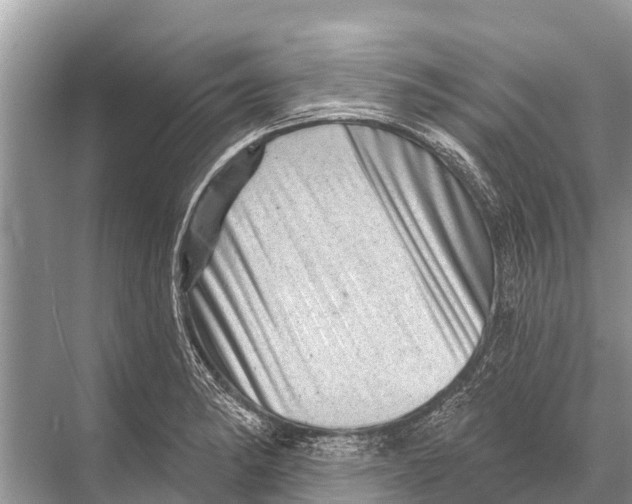 X0000067861182200605041733