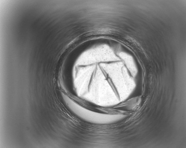 X0000067861210200605041732