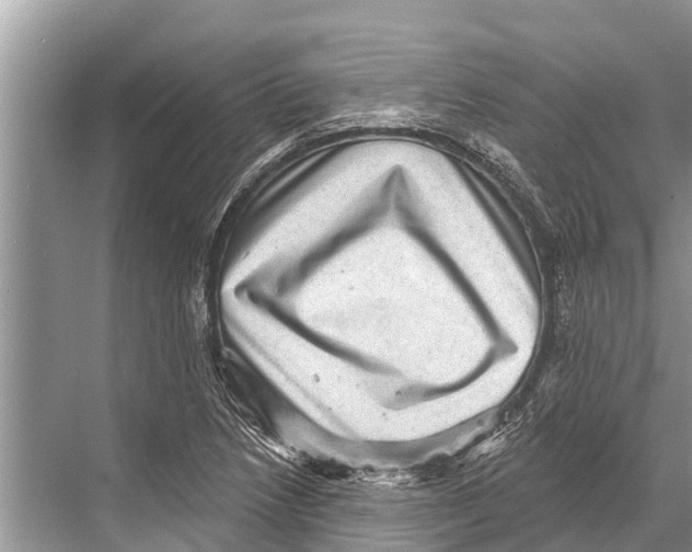 X0000067861218200605041733