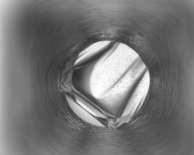 X0000067861250200605041732