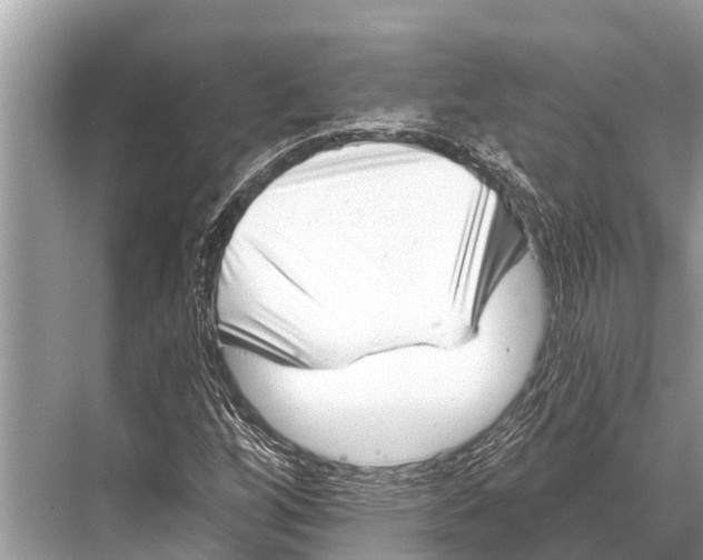 X0000067861256200605041732