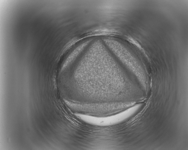 X0000067861259200605041732