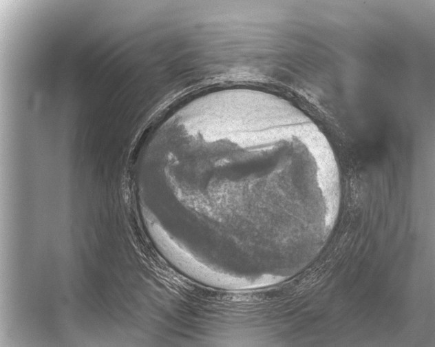 X0000067861266200605041732