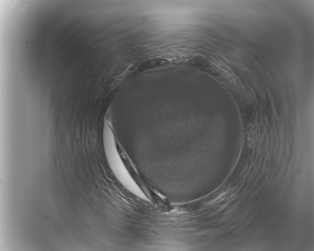X0000067861298200605041731