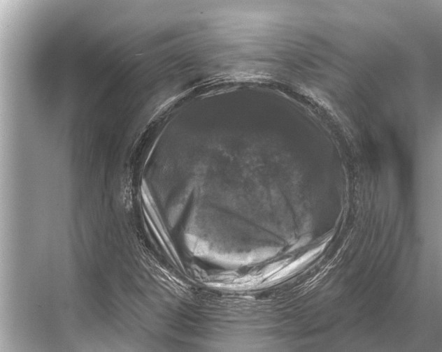 X0000067861306200605041731