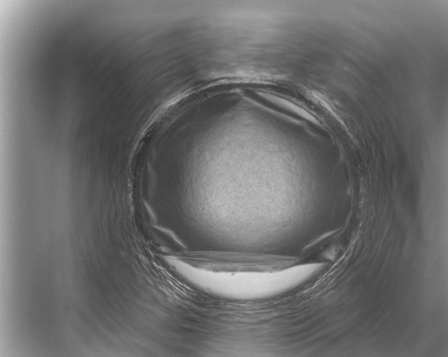 X0000067861307200605041731