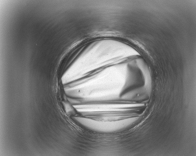 X0000067861317200605041731