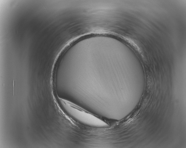 X0000067861327200605041731