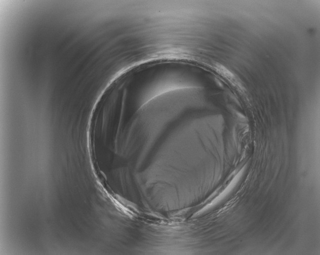X0000067861334200605041731