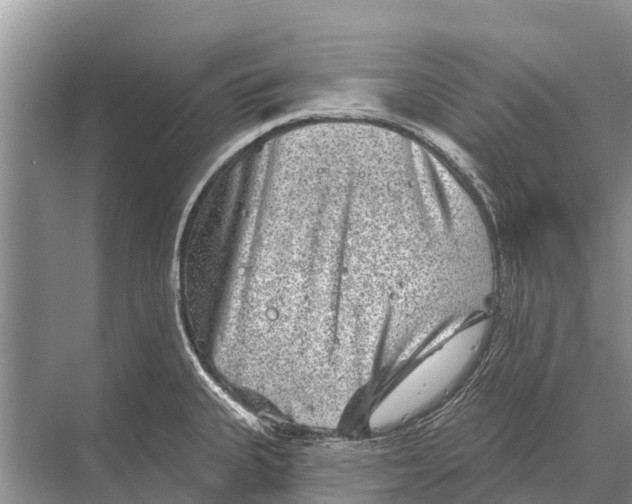 X0000067861335200605041731