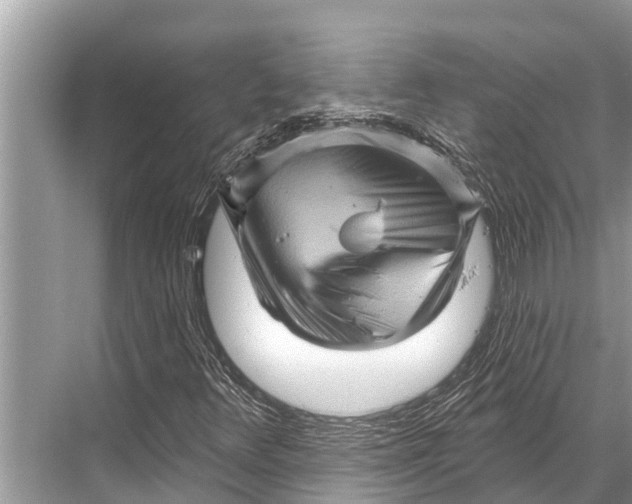 X0000067861348200605041731