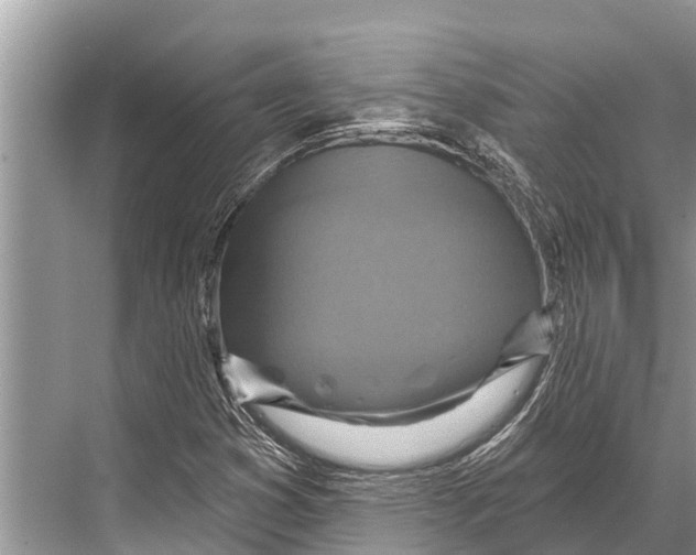 X0000067861353200605041730