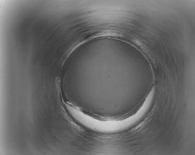 X0000067861369200605041730