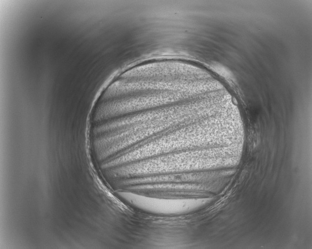 X0000067861374200605041730