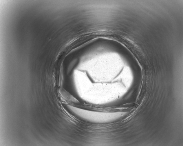 X0000067861402200605041729