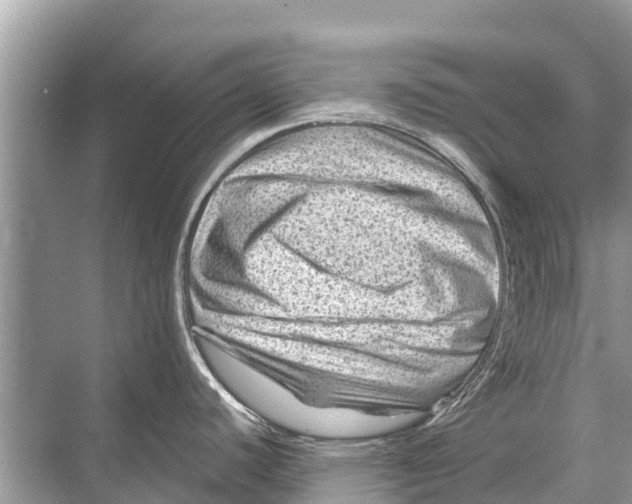 X0000067861440200605041730