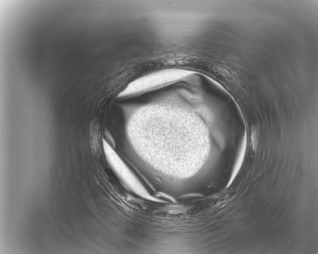 X0000067861444200605041729
