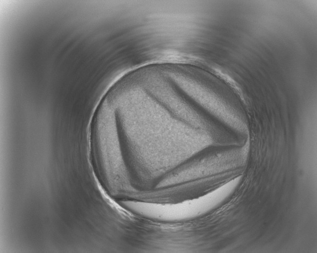 X0000067861479200605041728