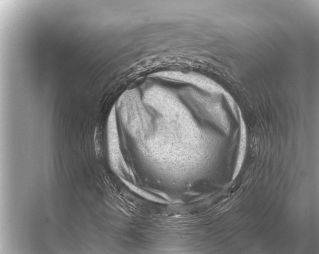 X0000067861490200605041727
