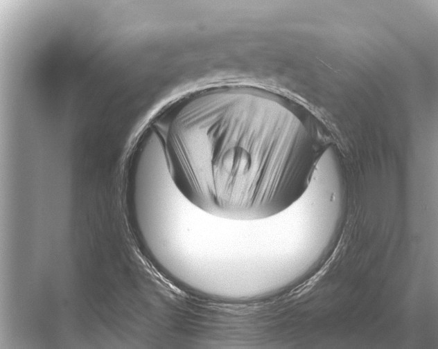 X0000067861502200605041728