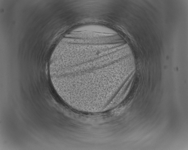 X0000067860024200605111745
