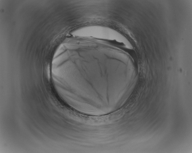 X0000067860027200605111745