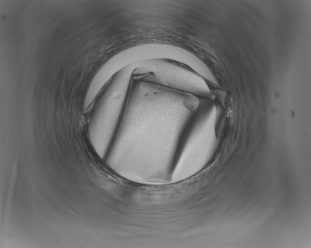 X0000067860033200605111745