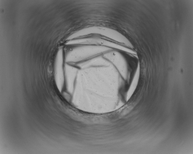 X0000067860040200605111745