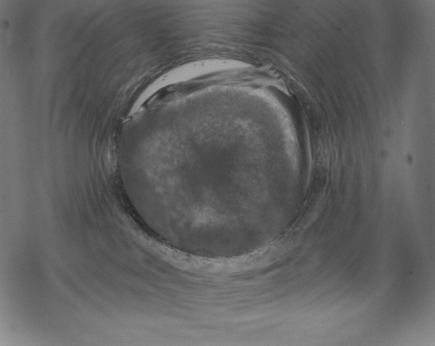 X0000067860043200605111745