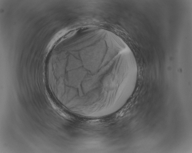 X0000067860054200605111744