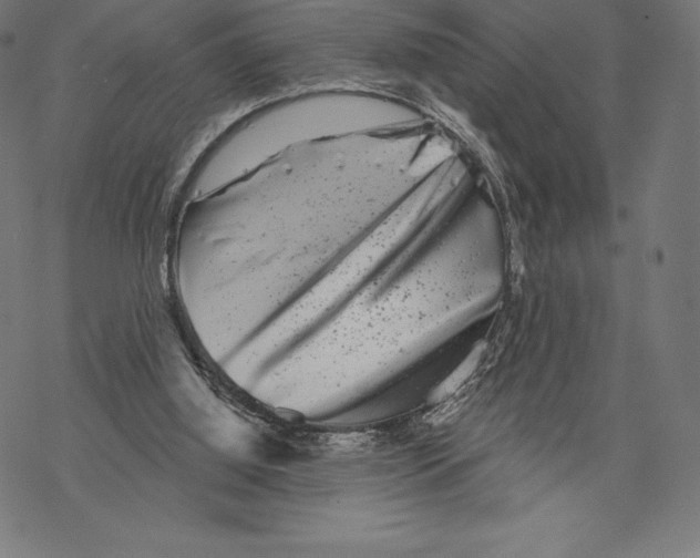 X0000067860060200605111744